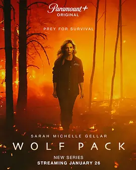 ​狼群 Wolf Pack (2023)