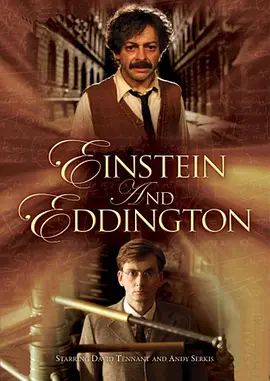 爱因斯坦与爱丁顿 (2008)