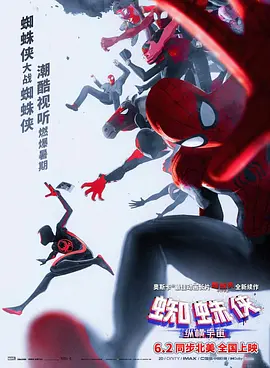 蜘蛛侠：纵横宇宙  (2023)