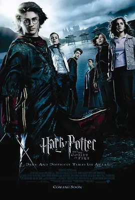 哈利·波特与火焰杯 (2005)