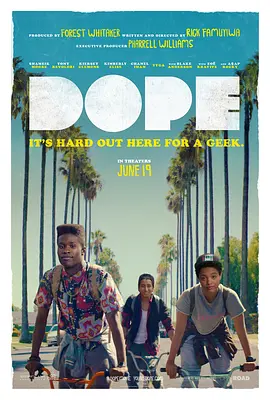 酷毙了 Dope (2015)