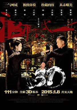 一代宗师 (2013)