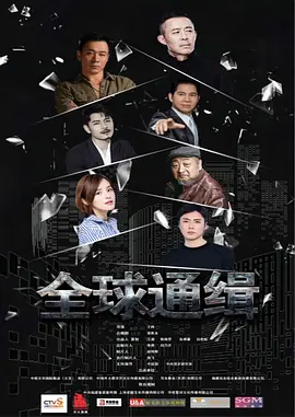 无处躲藏 (2020)