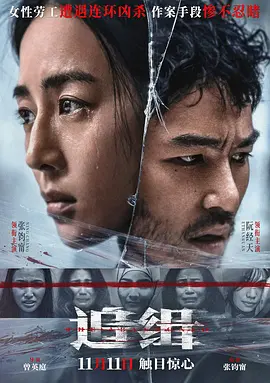 追缉 (2023)