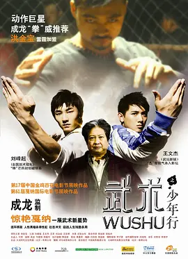 武术之少年行 (2008)