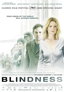 盲流感 (2008)
