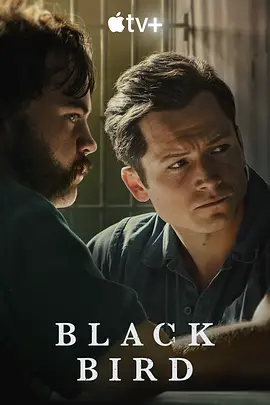 黑鸟 Black Bird(2022)