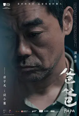 爸爸(2024)