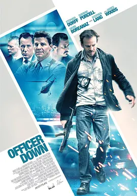 悍警惩奸除恶(2013)