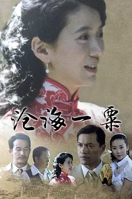 沧海一粟.webp