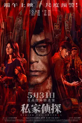 私家侦探 (2025)