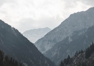 精灵王座Ⅱ(2025)