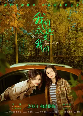 我们永远是我们(2024)