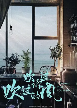 吹过你吹过的风(2024)