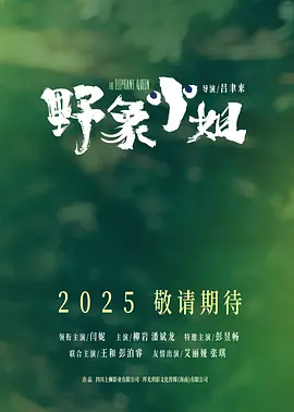 野象小姐(2025)