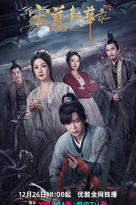 宋慈韶华录(2023)