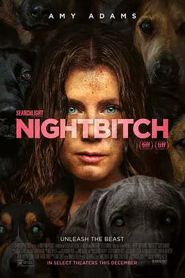 Nightbitch.webp