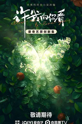 许我向你看 (2028)