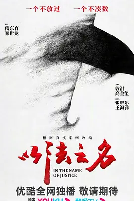 以法之名(2025)