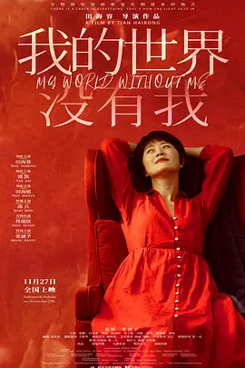 我的世界没有我 (2025)