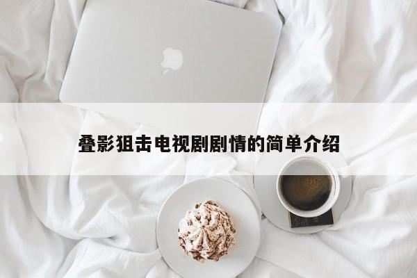 叠影狙击电视剧剧情的简单介绍