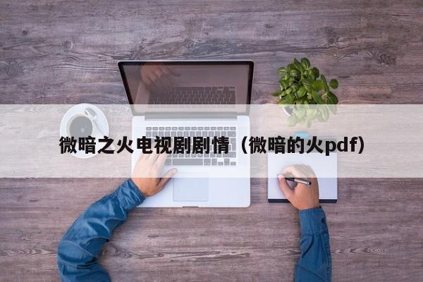 微暗之火电视剧剧情（微暗的火pdf）