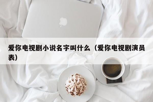 爱你电视剧小说名字叫什么（爱你电视剧演员表）