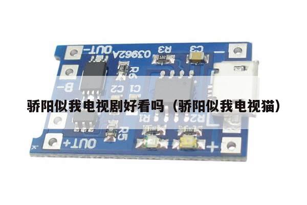 骄阳似我电视剧好看吗(骄阳似我电视猫)